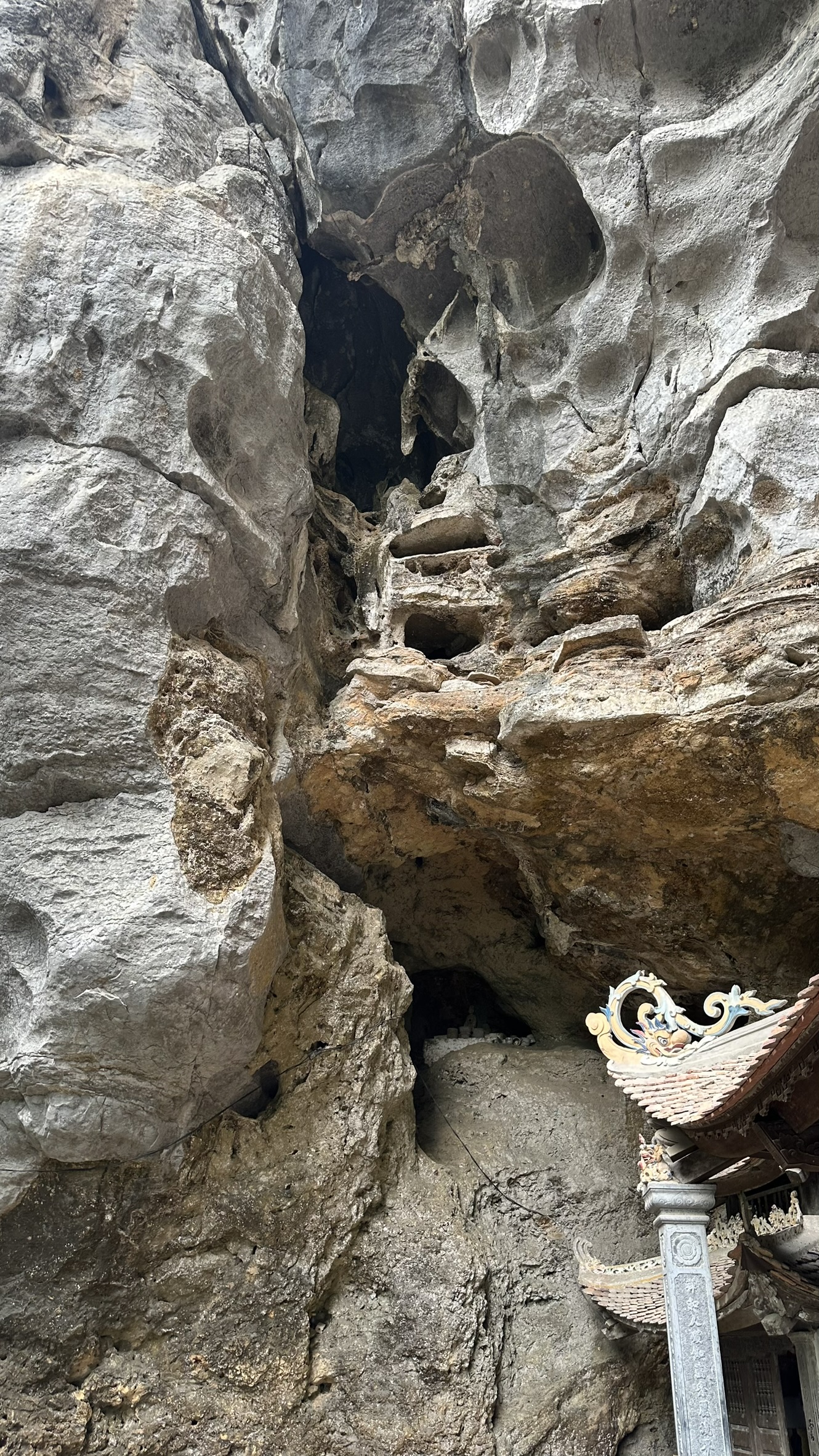 Adventure travelers exploring the biodiversity of Cuc Phuong